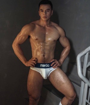 Mr hoà